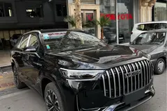 لوکانو، L8