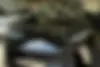 لاماری، ایما