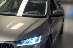 اشکودا، اوکتاویا