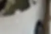 دنا  پلاس EF7