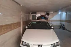 پژو، پارس
