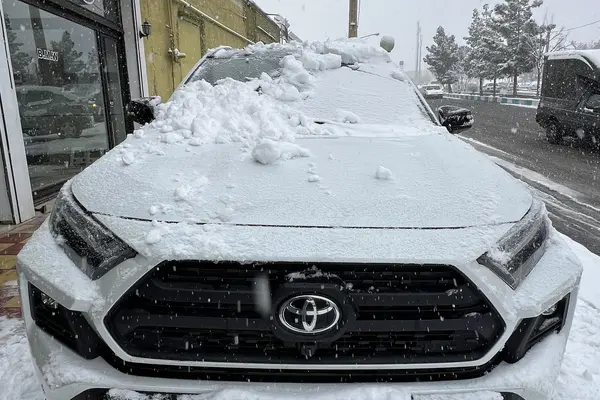 تویوتا، راوفور