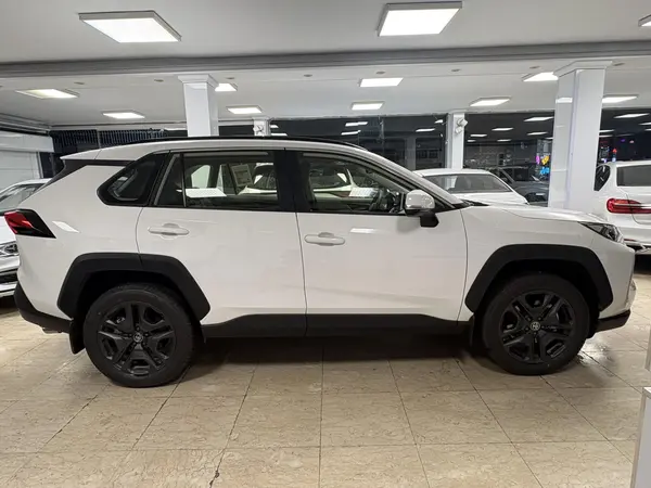 تویوتا، راوفور