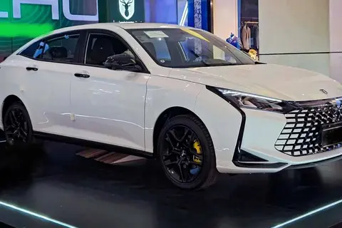 لاماری، اکو