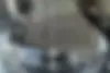 کیا،  کادنزا