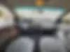 فولکس،  گل