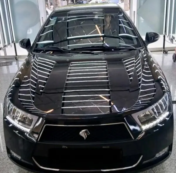 دنا، پلاس EF7P