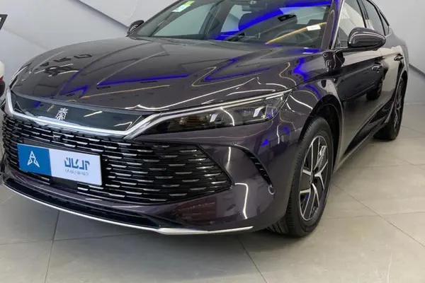 بی وای دی، چین L