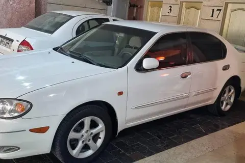 نیسان، ماکسیما