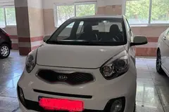 کیا، پیکانتو