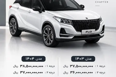 حواله لاماکو، فلو