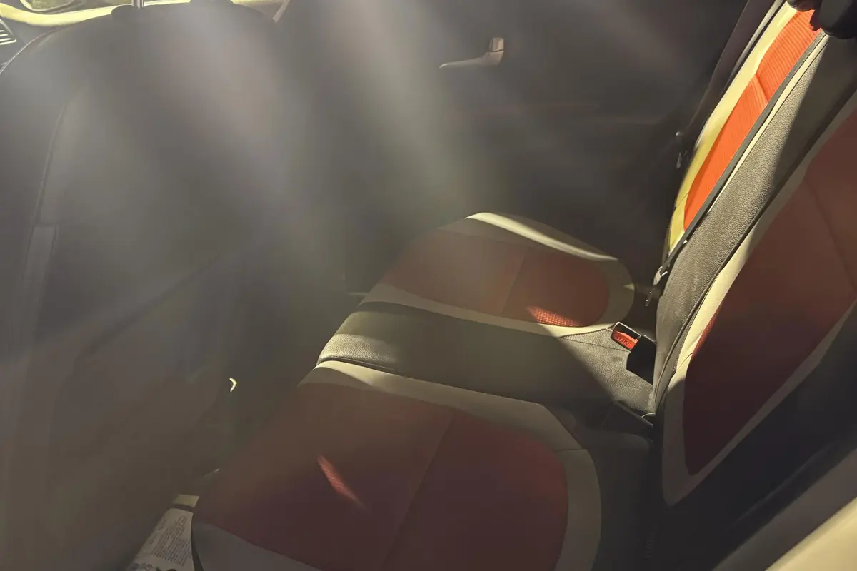 کیا،  پیکانتو