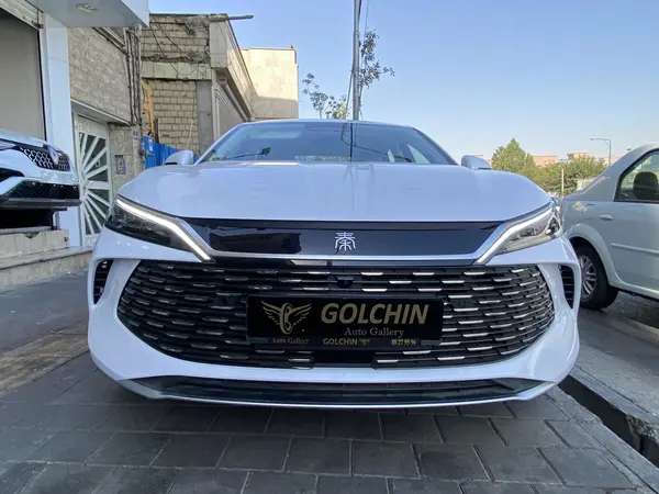 بی وای دی، چین ال DMi