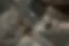 رنو  کولیوس