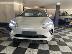 بی وای دی، سی لاین 06 DMi