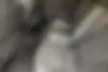 رنو،  کپچر