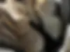 رنو،  مگان (مونتاژ)