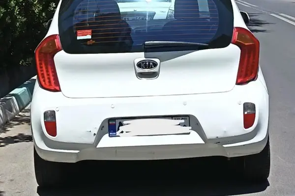 کیا  پیکانتو