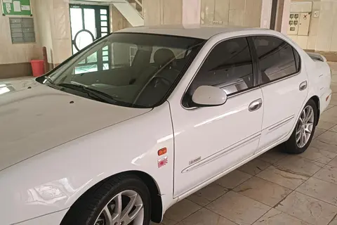 نیسان، ماکسیما