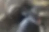 کیا،  سراتو (مونتاژ)