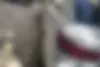 کیا،  سراتو (مونتاژ)