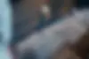 دنا،  پلاس EF7