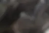 کیا،  سراتو