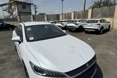 بی وای دی، چین پلاس DMi