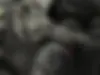 چری،  آریزو 5T