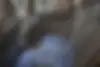 کیا  اپتیما