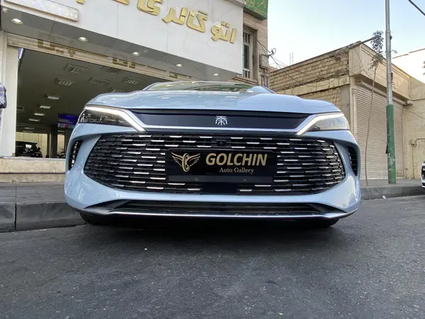 بی وای دی، چین L