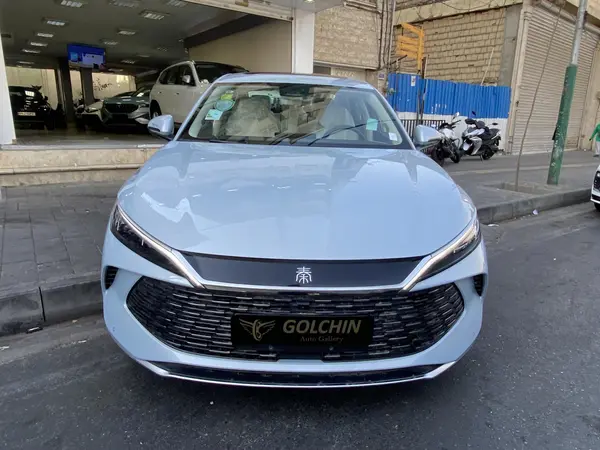 بی وای دی، چین L