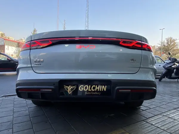 بی وای دی، چین L