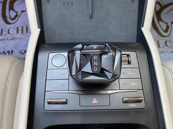 بی وای دی، چین L