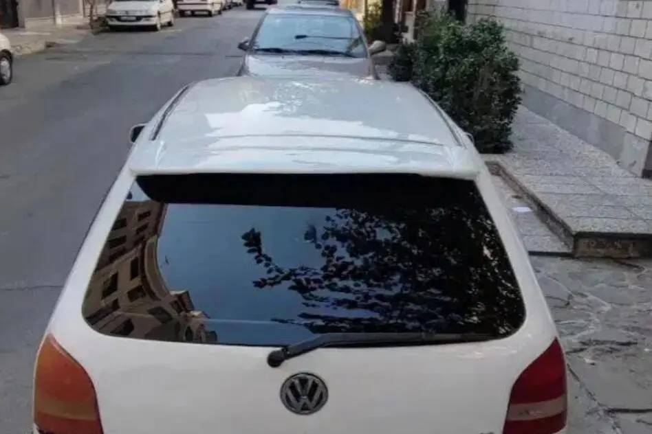 فولکس،  گل