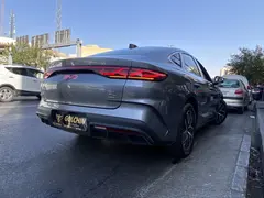 بی وای دی، چین L