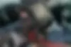 لکسوس،  LX