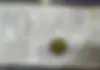 پورشه،  ماکان