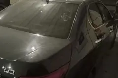دنا، پلاس EF7P