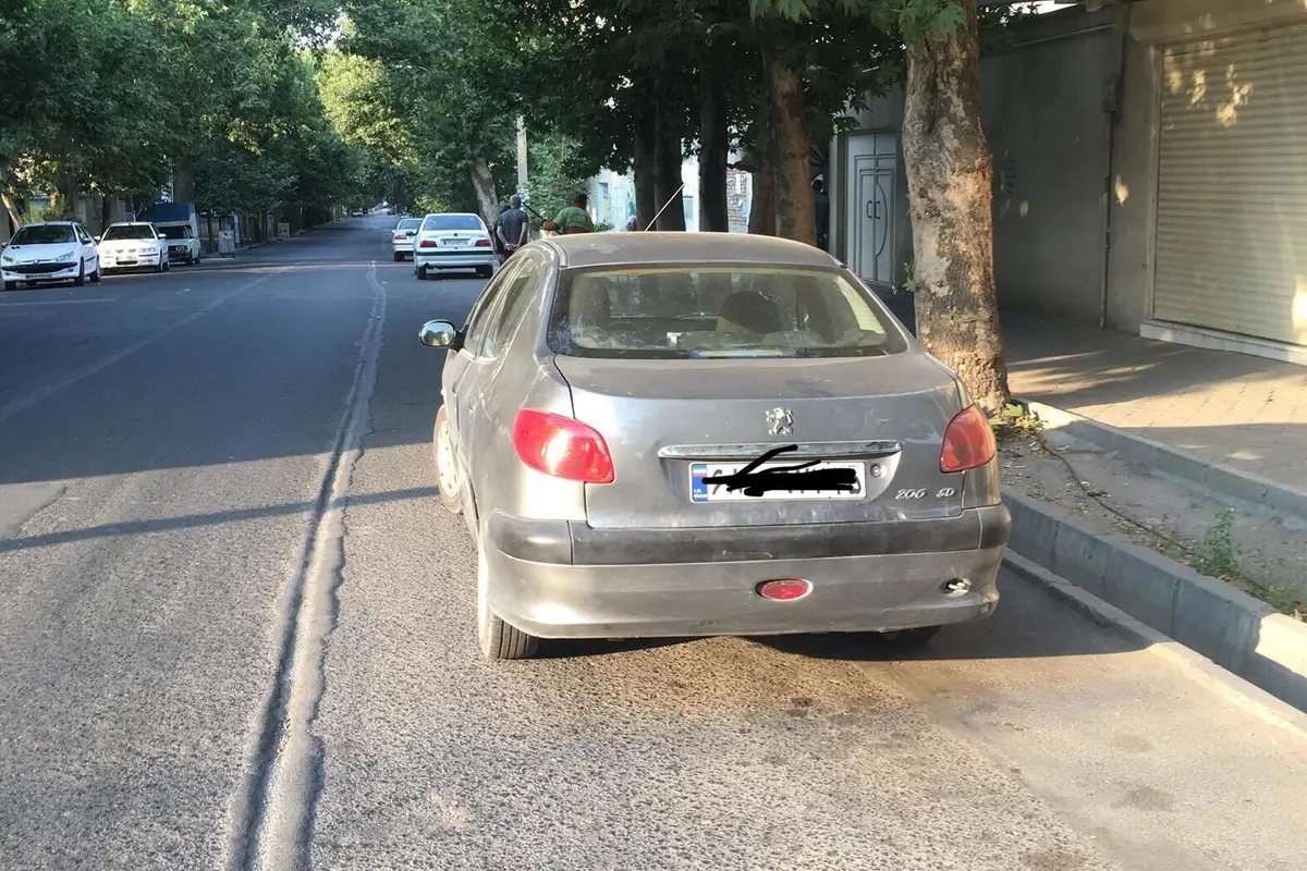 پژو،  206 SD
