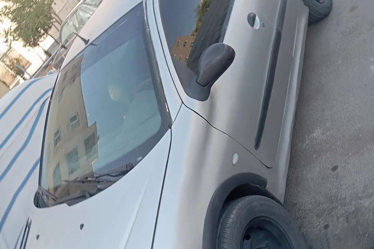 پژو،  206