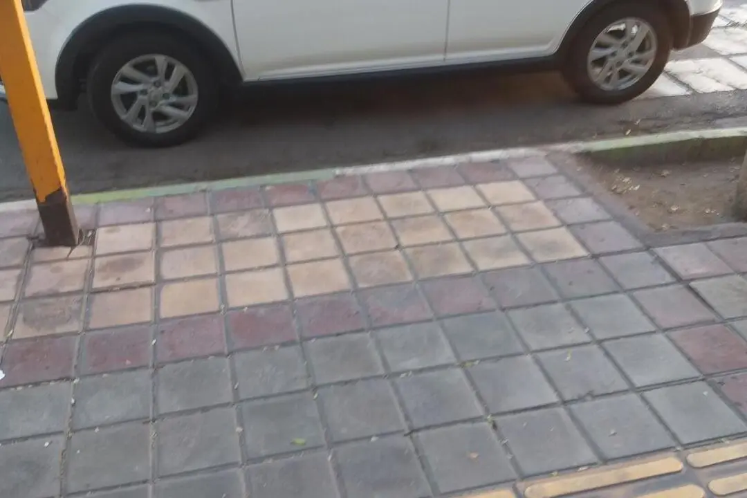 اطلس،  دنده ای