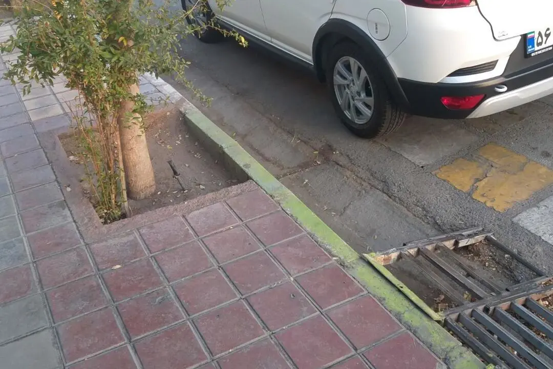 اطلس،  دنده ای