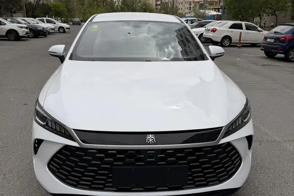 بی وای دی، چین ال DMi