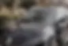 رنو، کولیوس