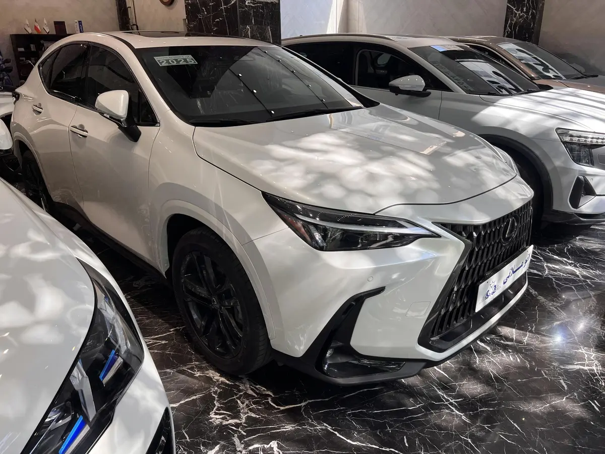 لکسوس،  NX