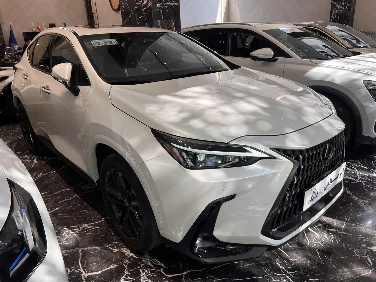 لکسوس،  NX