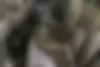 چری،  آریزو 5T