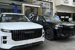 لوکانو، L7
