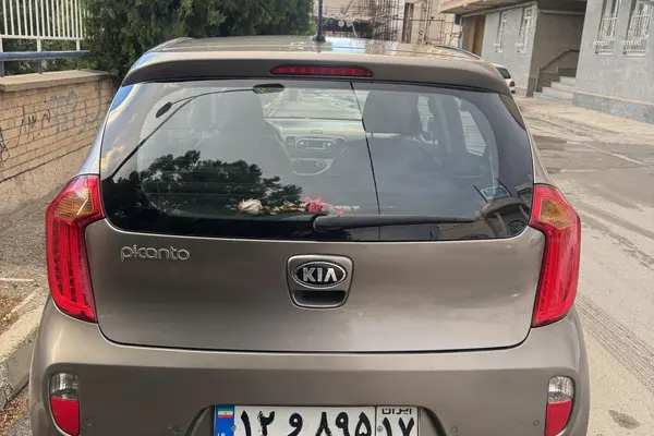 کیا  پیکانتو